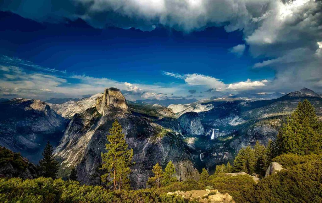 Giant-Sequoias-Mariposa-Grove-Yosemite