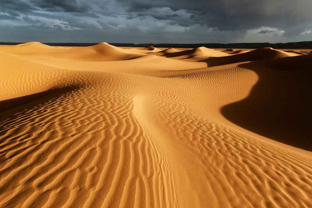 Thrilling sandboarding adventure on Sahara dunes