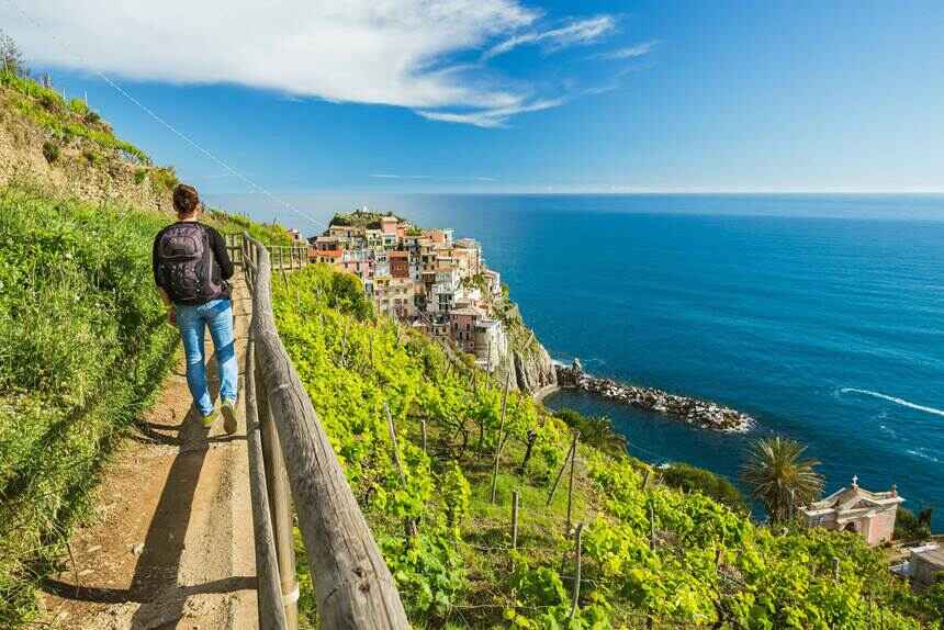 The lush vineyards in Manarola offering a tranquil escape amidst nature's bounty.