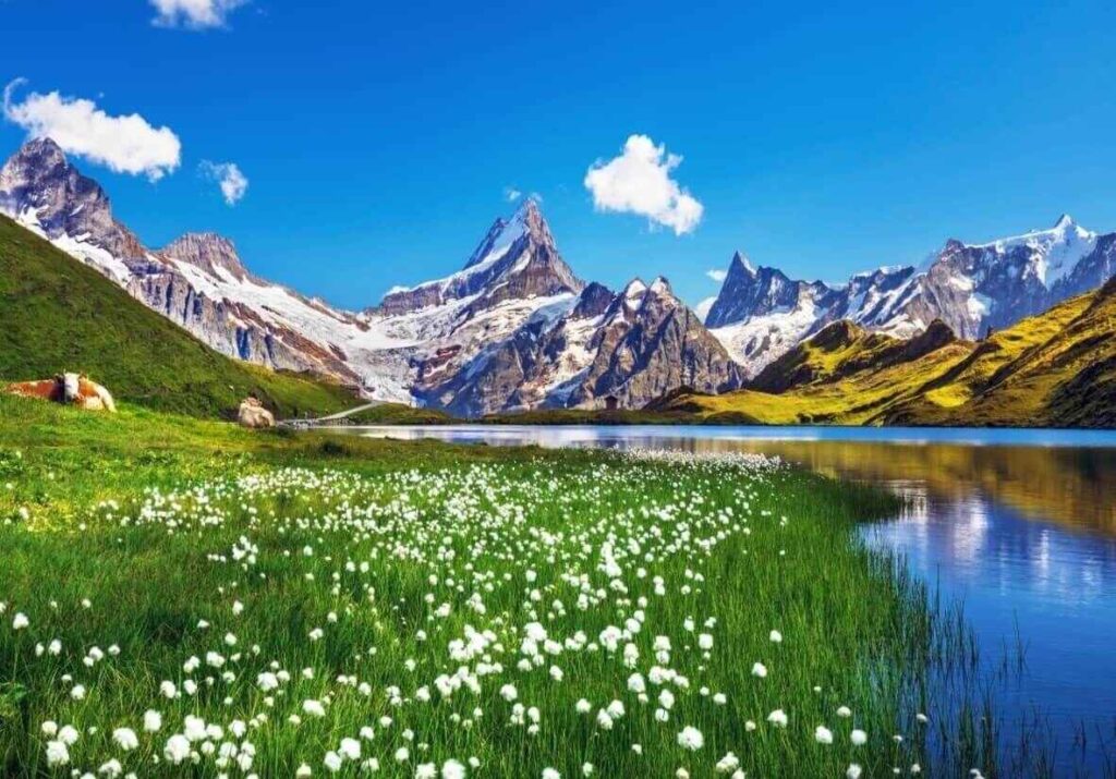 Stunning panorama of the Swiss Alps